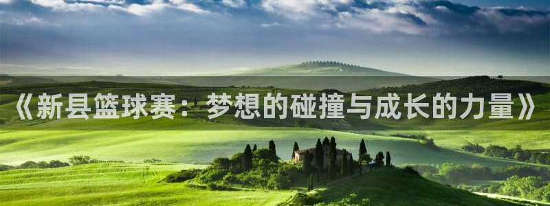 《新县篮球赛：梦想的碰撞与成长的力量》