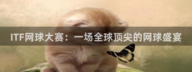 ITF网球大赛：一场全球顶尖的网球盛宴