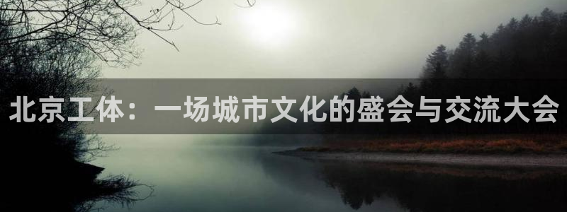 北京工体：一场城市文化的盛会与交流大会